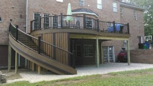 Trex Deck by Felice Decks