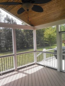 Trex Deck by Felice Decks